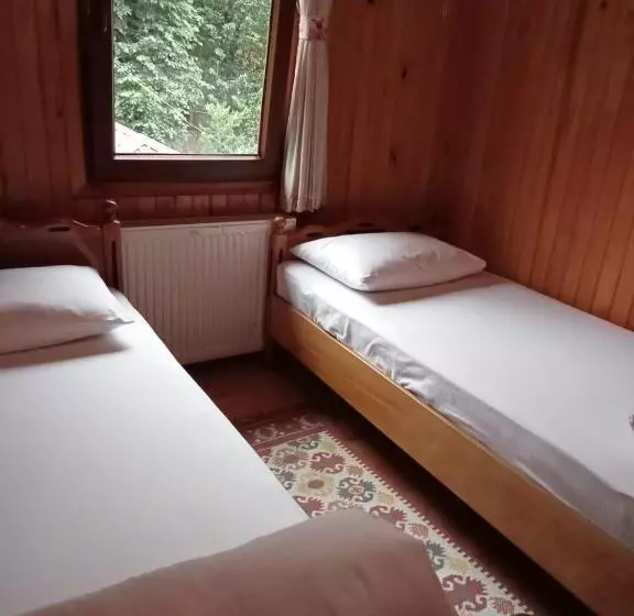 ベッドアンドブレックファースト Ayder Petek Apart Otel