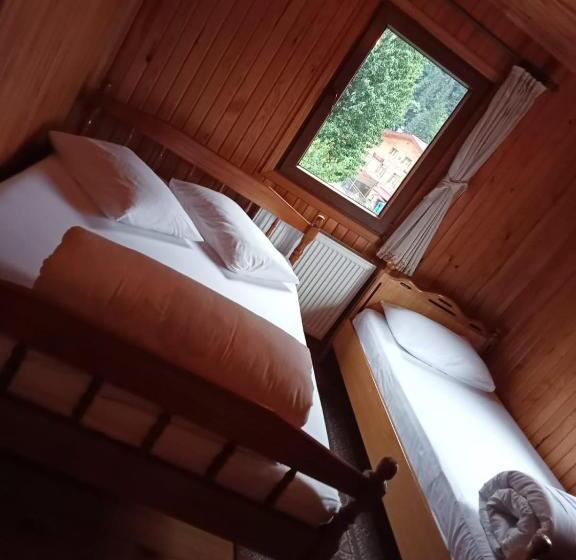 مبيت وإفطار Ayder Petek Apart Otel