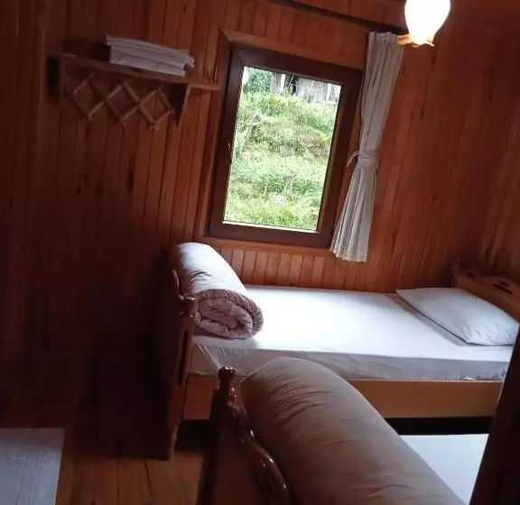 ベッドアンドブレックファースト Ayder Petek Apart Otel