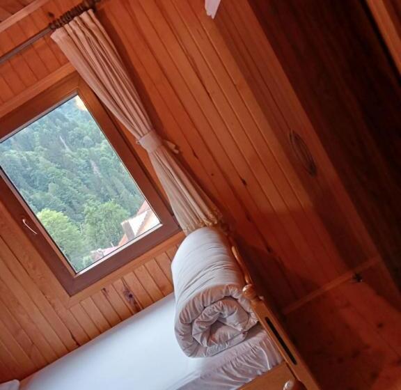 مبيت وإفطار Ayder Petek Apart Otel