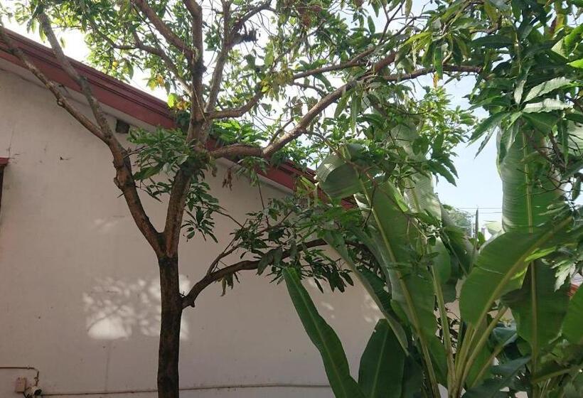 Bed and Breakfast Canaan Music