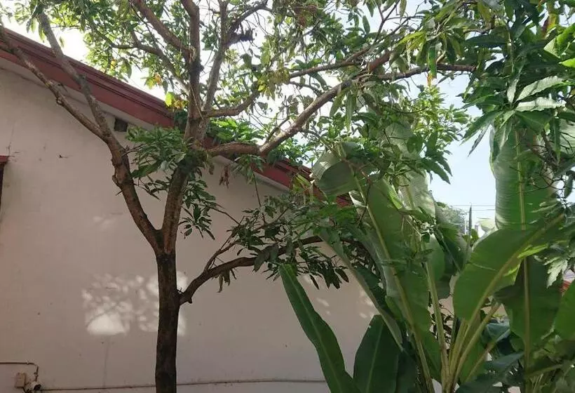 ベッドアンドブレックファースト Canaan Music