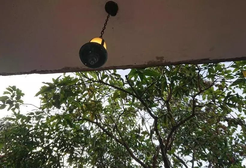 ベッドアンドブレックファースト Canaan Music