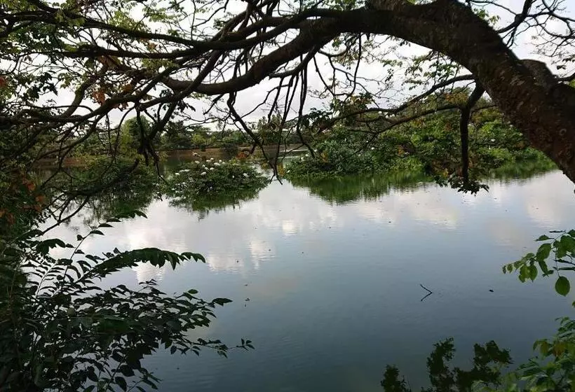 ベッドアンドブレックファースト Canaan Music