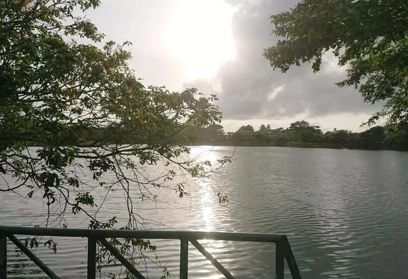 ベッドアンドブレックファースト Canaan Music