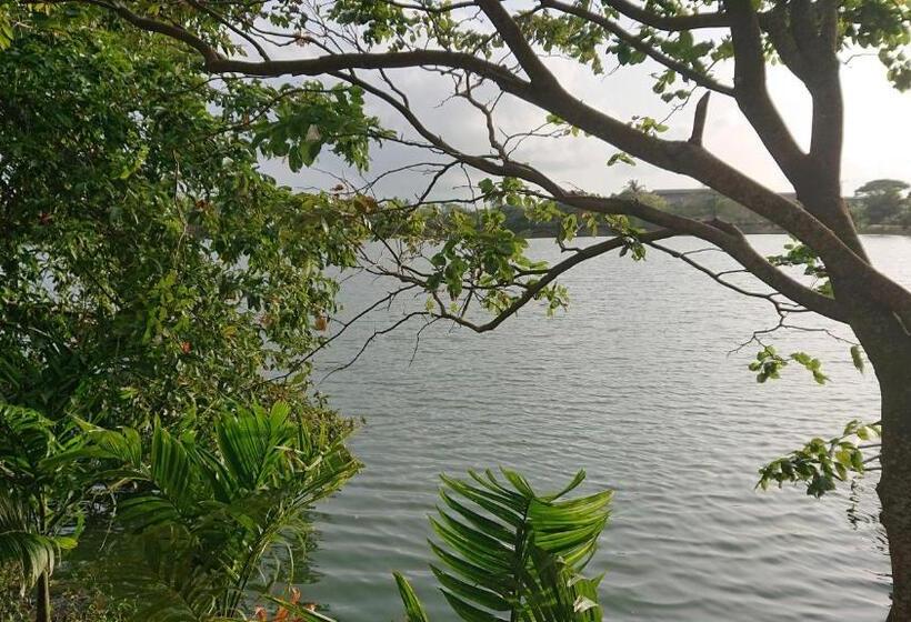 Bed and Breakfast Canaan Music