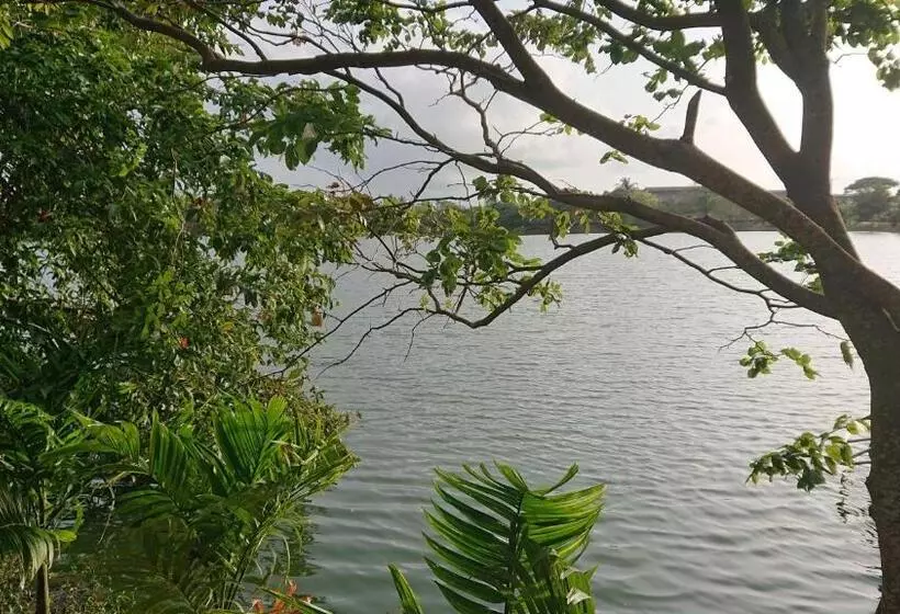 ベッドアンドブレックファースト Canaan Music