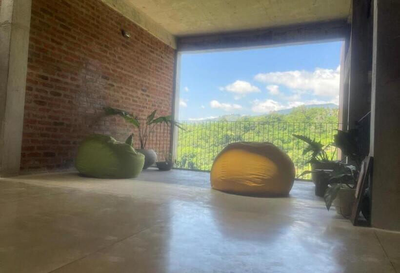 Bed and Breakfast The Terrace 129