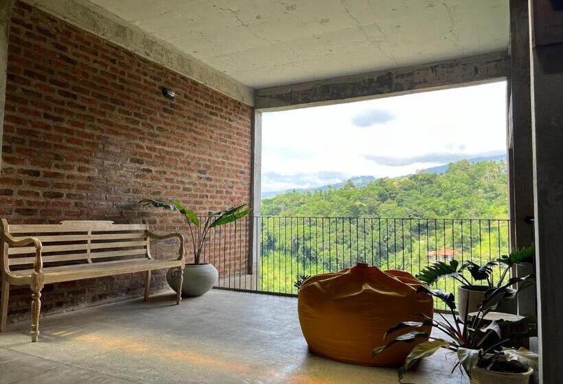 Bed and Breakfast The Terrace 129