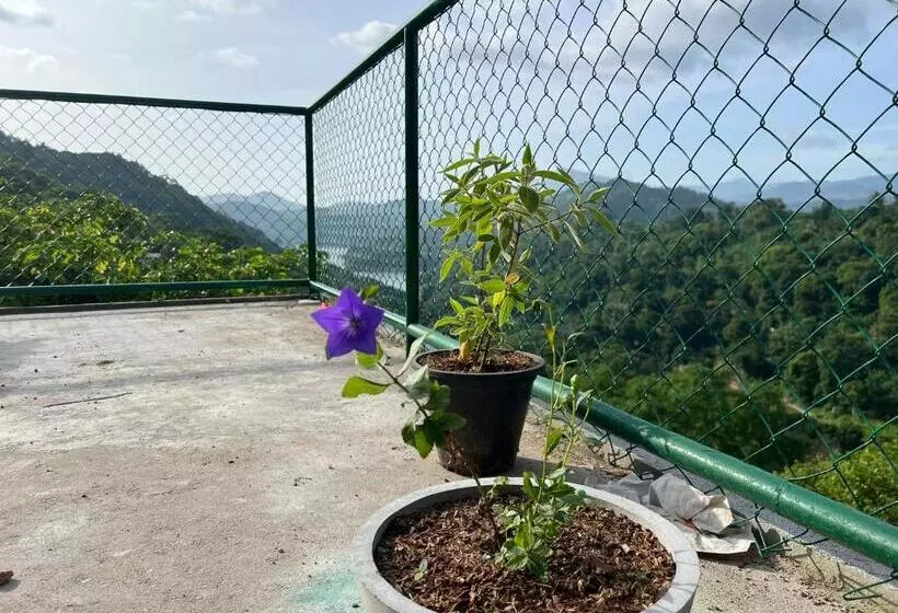 Aamiaismajoitus (B&B) The Terrace 129