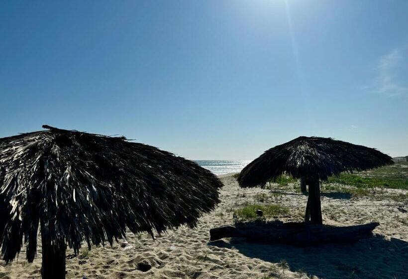 Отель Cabañas Riviera Afro