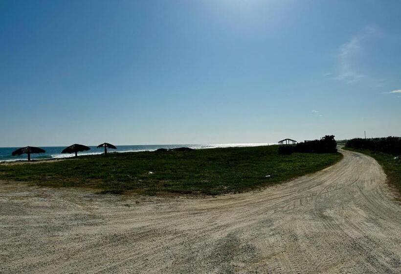 Отель Cabañas Riviera Afro