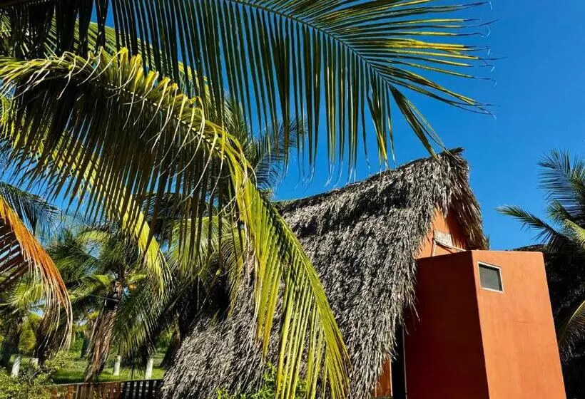 Hotelli Cabañas Riviera Afro