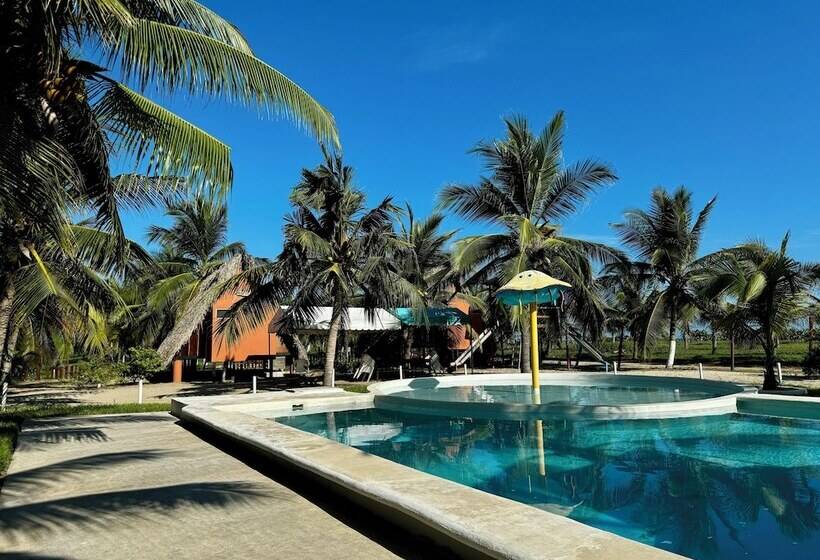 Отель Cabañas Riviera Afro