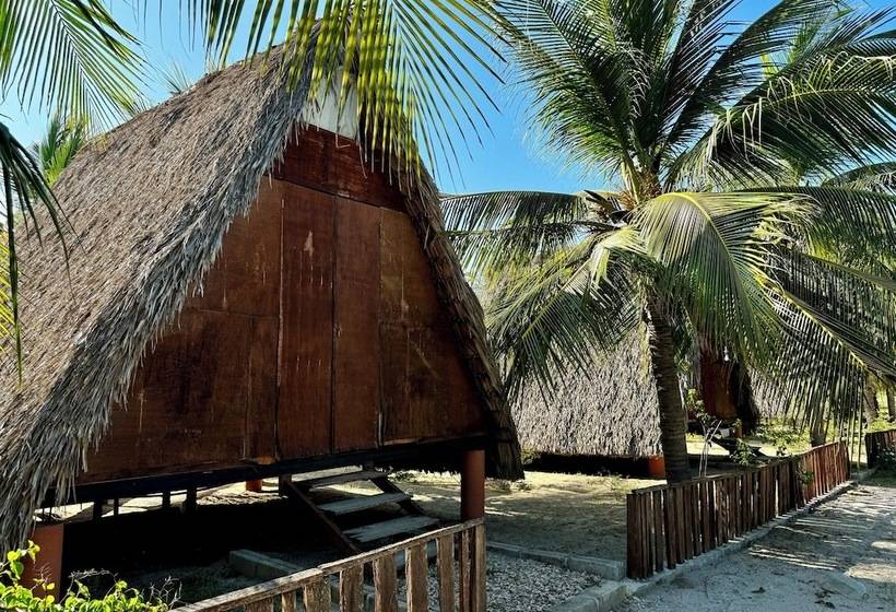 Отель Cabañas Riviera Afro