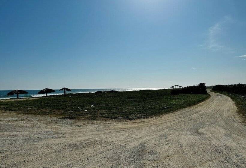 Отель Cabañas Riviera Afro