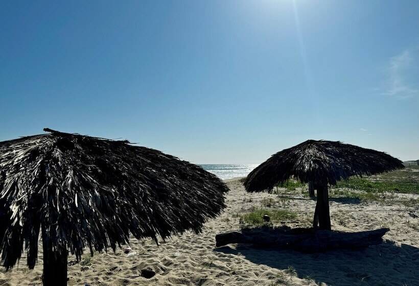 Отель Cabañas Riviera Afro