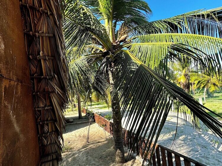 Отель Cabañas Riviera Afro