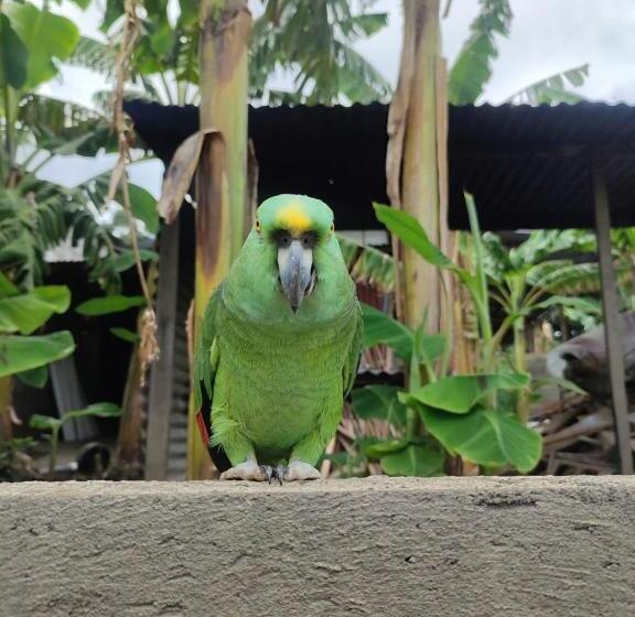 هتل کپسول Mamacita Cafe House