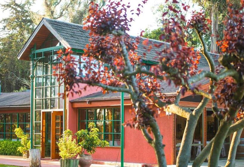 Hotel Parque San Juan   Caja Los Héroes