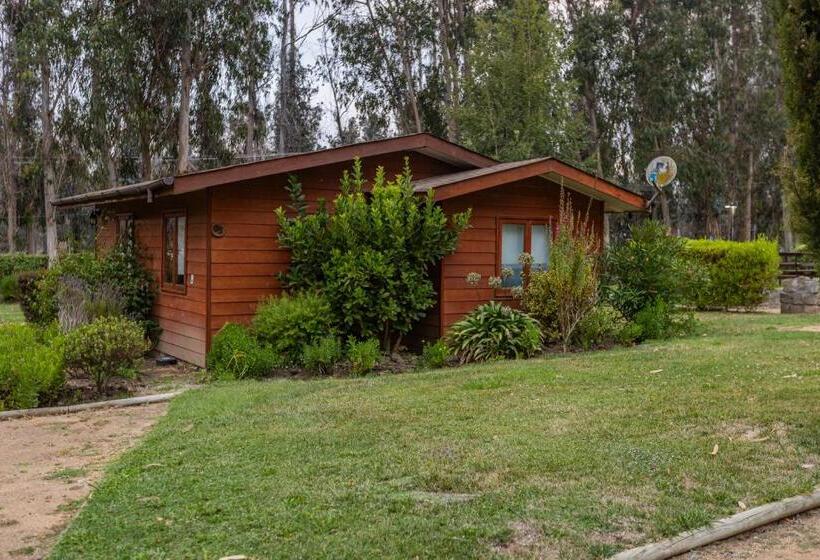 Hotel Parque San Juan   Caja Los Héroes