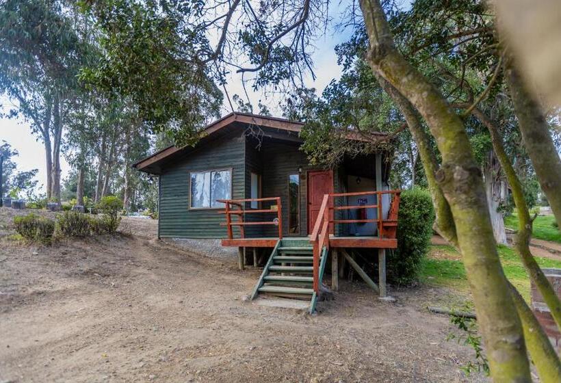 Hotel Parque San Juan   Caja Los Héroes