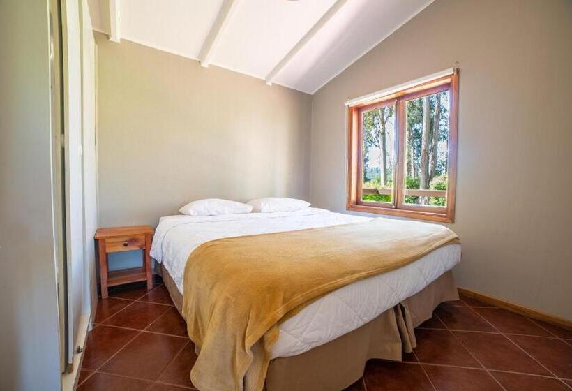 Hotel Parque San Juan   Caja Los Héroes