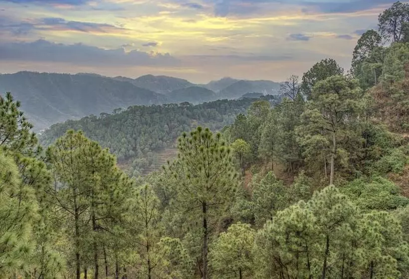 ホテル The Rajmahal Retreat I 3 Bedrooms Entire Villa I Nature Treks & Mountains View I Bonfire I Kasauli B