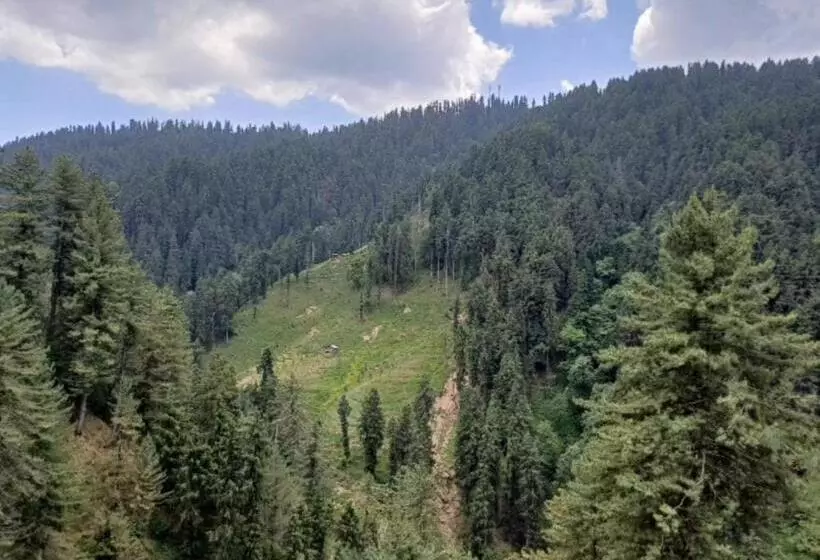 ホテル The Rajmahal Retreat I 3 Bedrooms Entire Villa I Nature Treks & Mountains View I Bonfire I Kasauli B