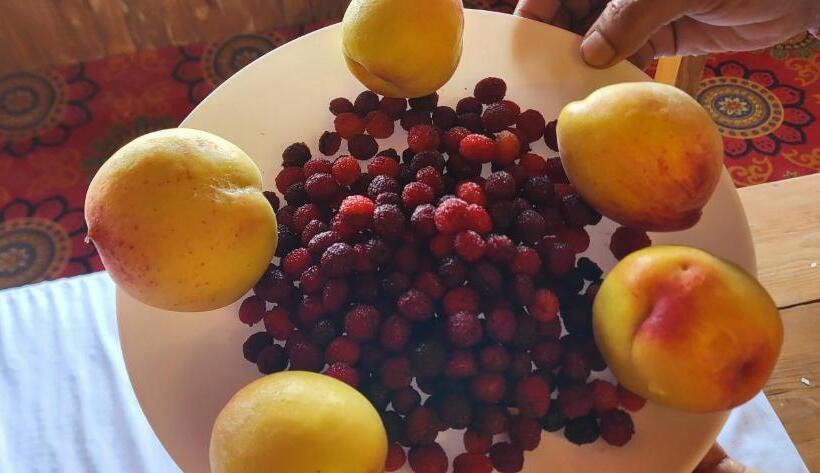 Pensão Himalayan Home