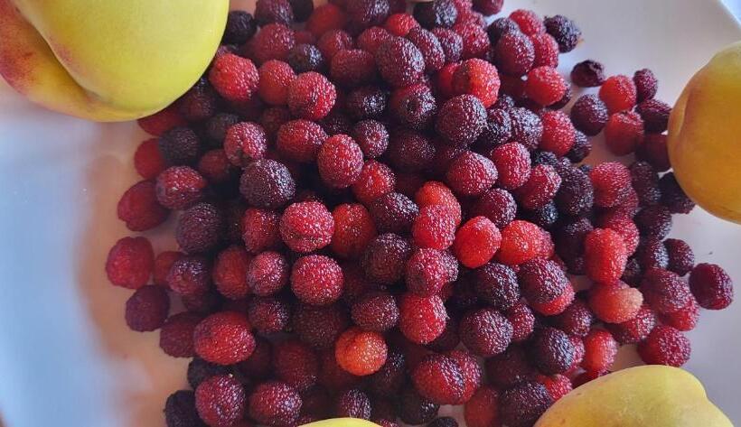 Pensão Himalayan Home