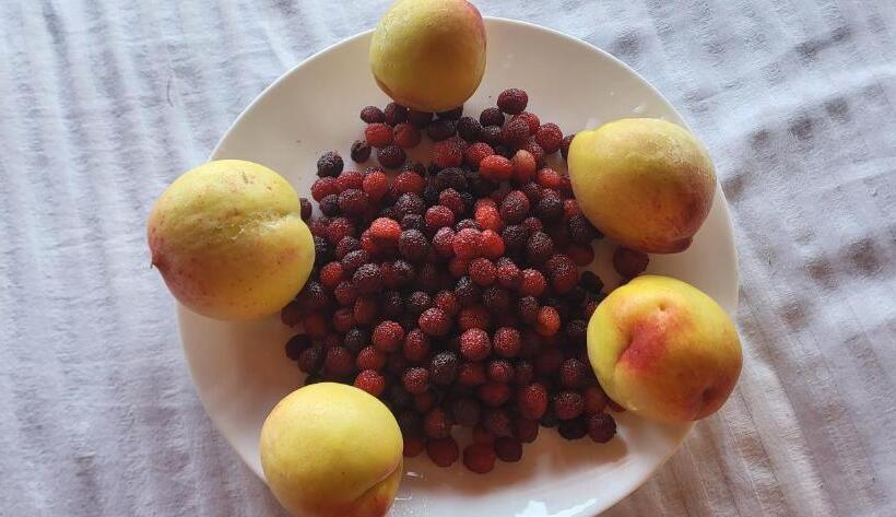 Pensão Himalayan Home