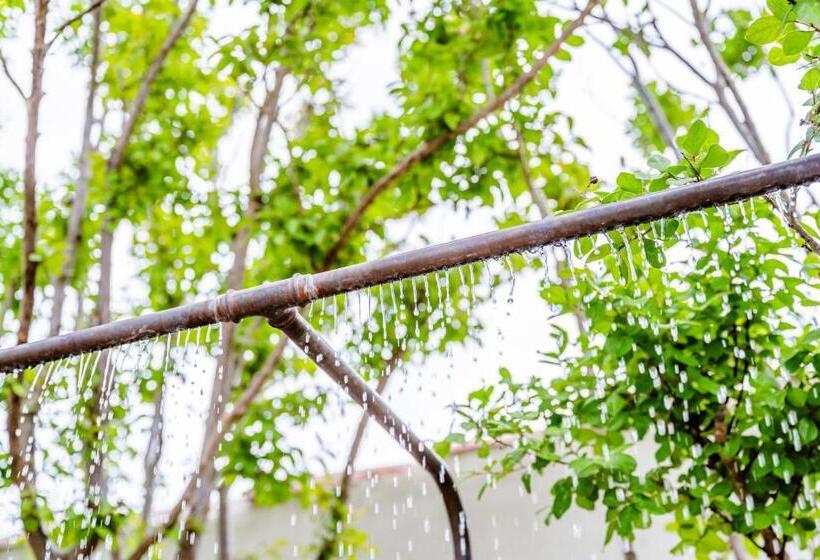 Secret D Uzès   Le Duché