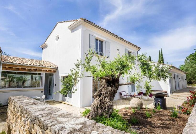 Secret D Uzès   Le Duché