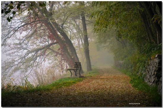 مبيت وإفطار Da Rosemarie