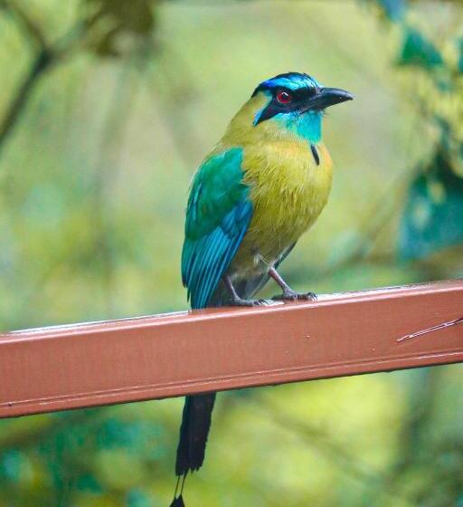 تختخواب و صبحانه La Casa De La Montaña
