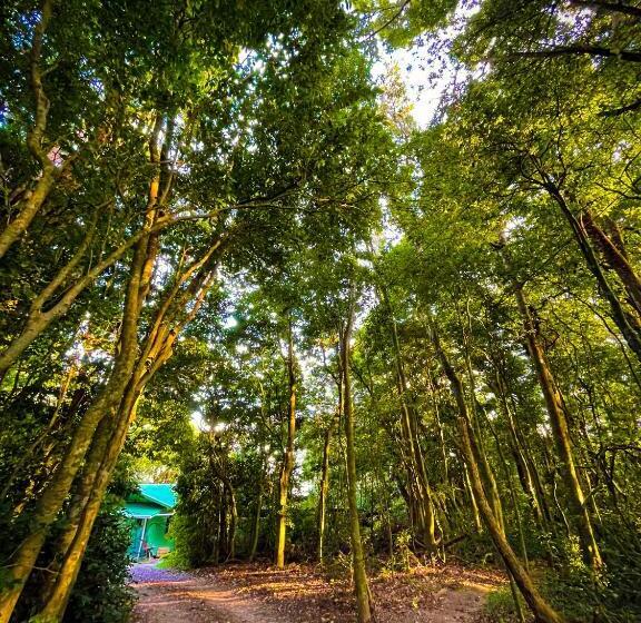 تختخواب و صبحانه La Casa De La Montaña