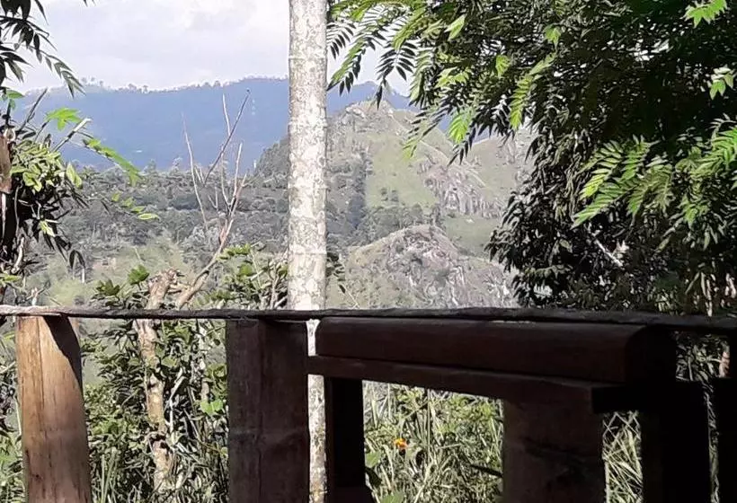 Hotel Ella Infinity View