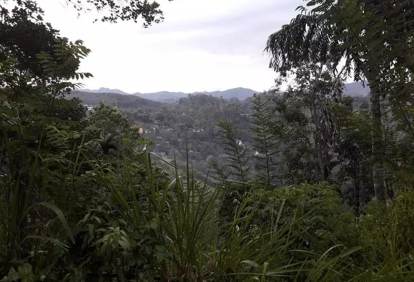 Hotel Ella Infinity View