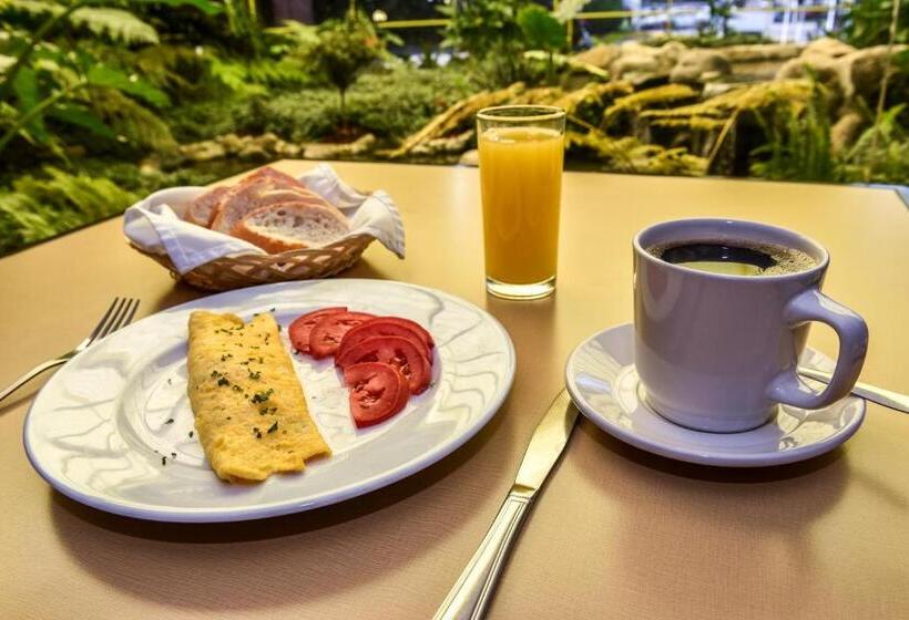 ホテル Oliver Inn Toluca