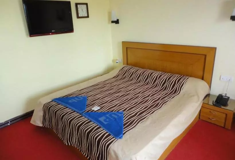 Hotel Seagull