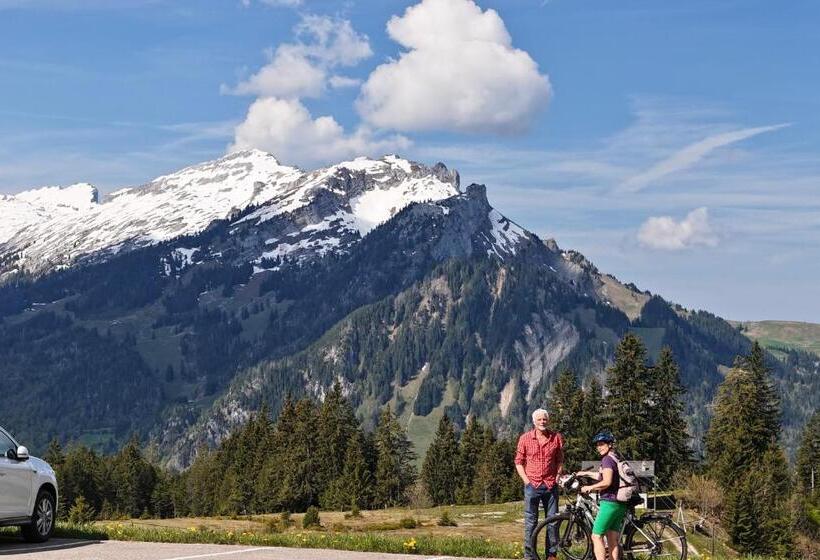 Alberg Alprestaurant Stäldeli