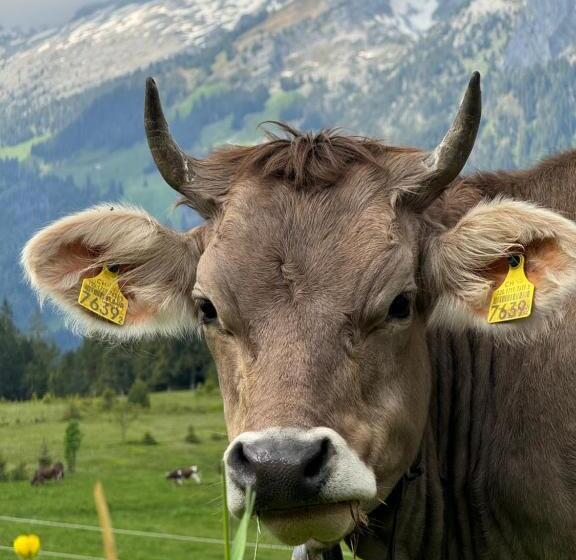 Alberg Alprestaurant Stäldeli