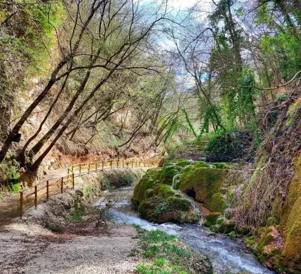 ホテル Agriturismo Roccamaia