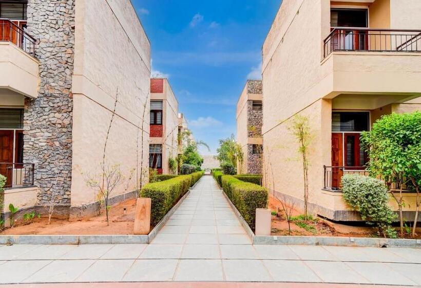 호텔 Palette   Jisaa Eco Resort