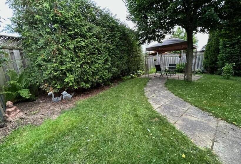 Maya Bed And Breakfast