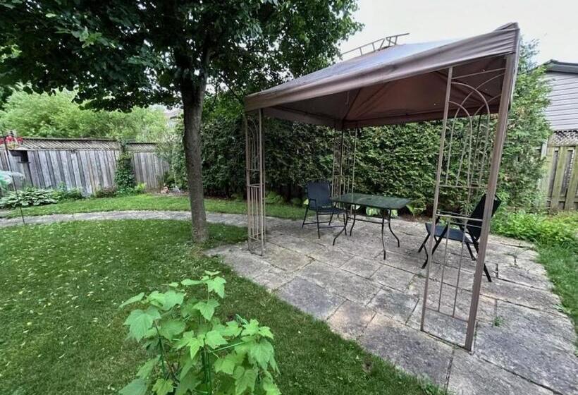 Maya Bed And Breakfast