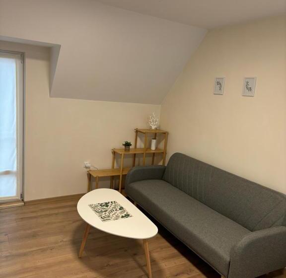 بنسيون студио за гости при нана