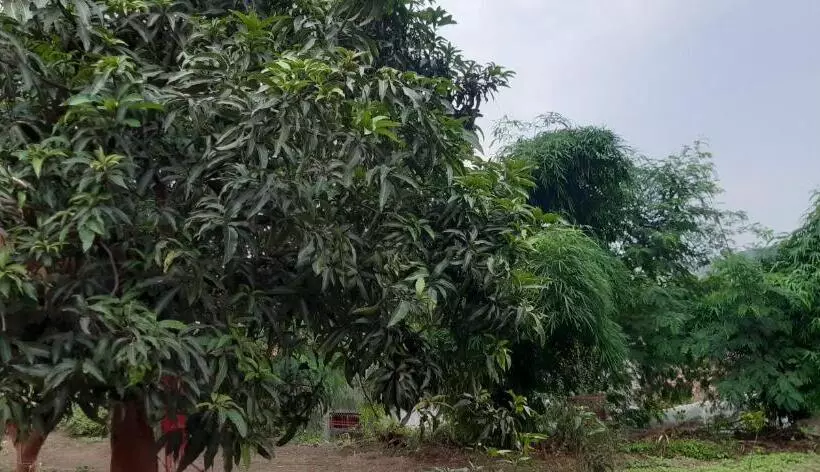 Majatalo Gurukurpa Bhakt Nivas