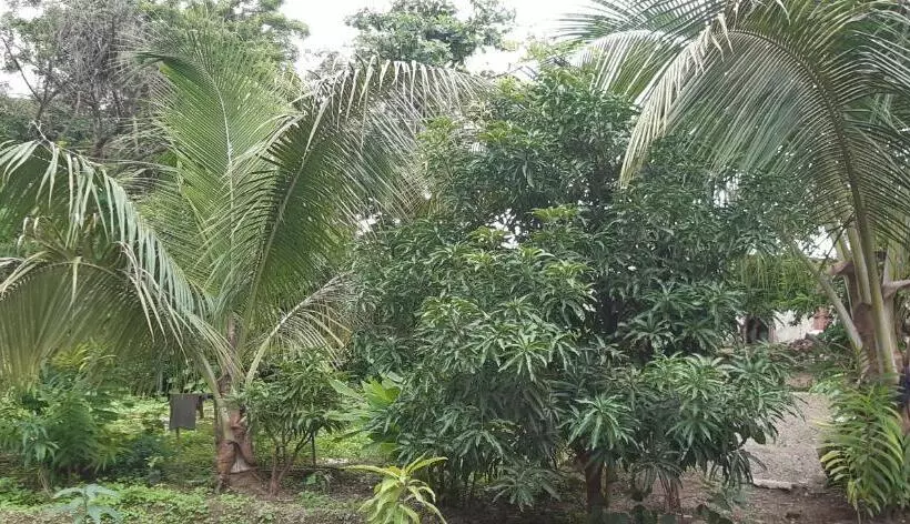 Majatalo Gurukurpa Bhakt Nivas